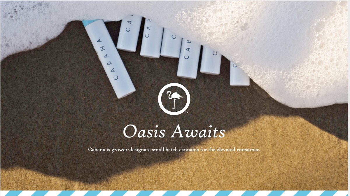 How to Create a Brand Style Guide (with Examples) | Product World