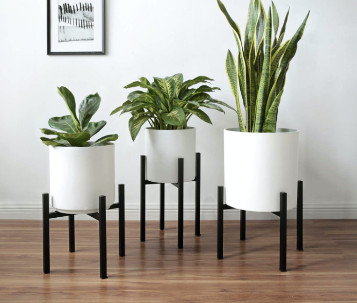 Grow a plants of TikTok brand today! Joins billions of views on #PlantsOfTikTok with insight, leads, and DTC e-commerce business advice now | Product World