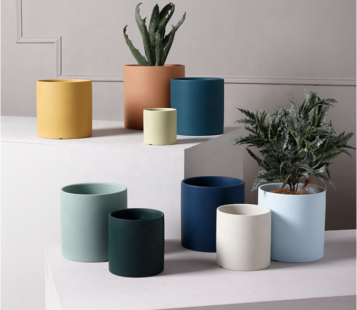 Grow a plants of TikTok brand today! Joins billions of views on #PlantsOfTikTok with insight, leads, and DTC e-commerce business advice now | Product World